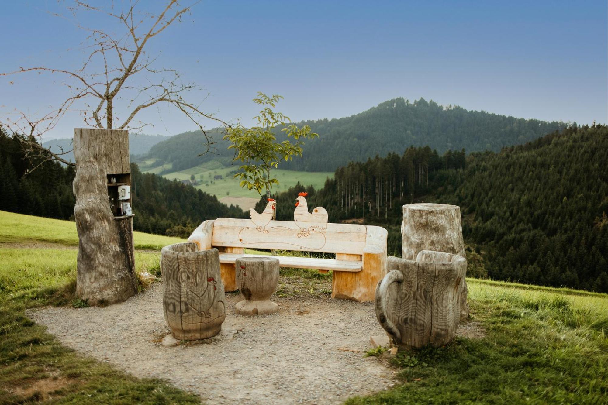 Landhotel Gasthaus Zum Pflug Цел ам Хармерсбах Екстериор снимка