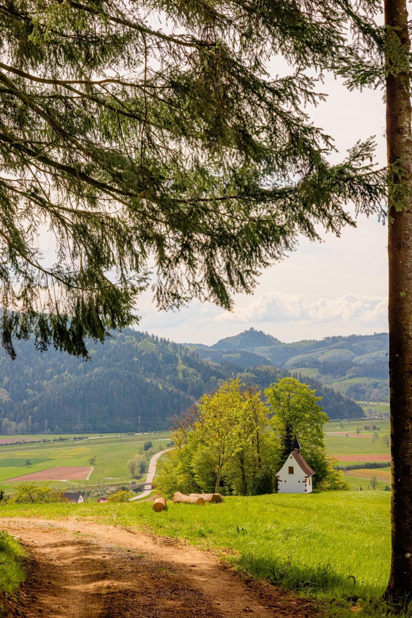 Landhotel Gasthaus Zum Pflug Цел ам Хармерсбах Екстериор снимка